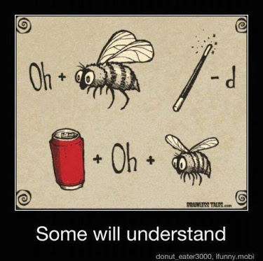 Some Will Understand Obi Wan Kenobi