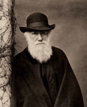 Darwin.900